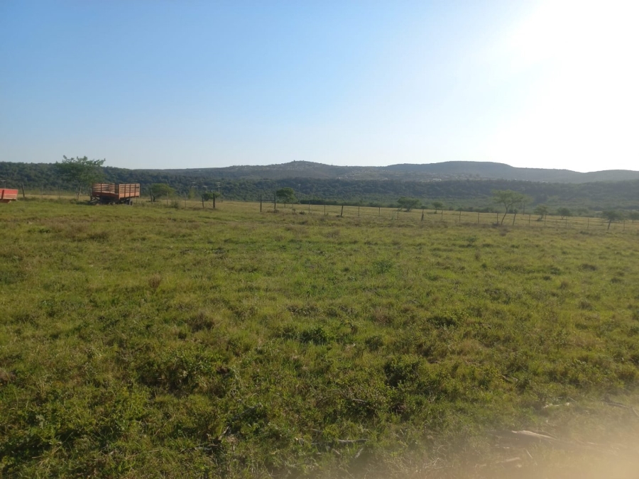 Commercial Property for Sale in Komga Rural Eastern Cape
